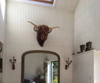 Highland Cattle Wall Sculpture with Textured Surface and Mount System, 24.8 x 20.9 Inches All Vera Mart