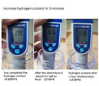 Hydrogen Infusion Bottle with USB Rechargeable Battery and One-Button Electrolysis, 300 mL All Vera Mart