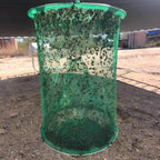 Hanging Fly Trap with Non-Toxic Bait and Expandable Capture Chamber, Reusable All Vera Mart