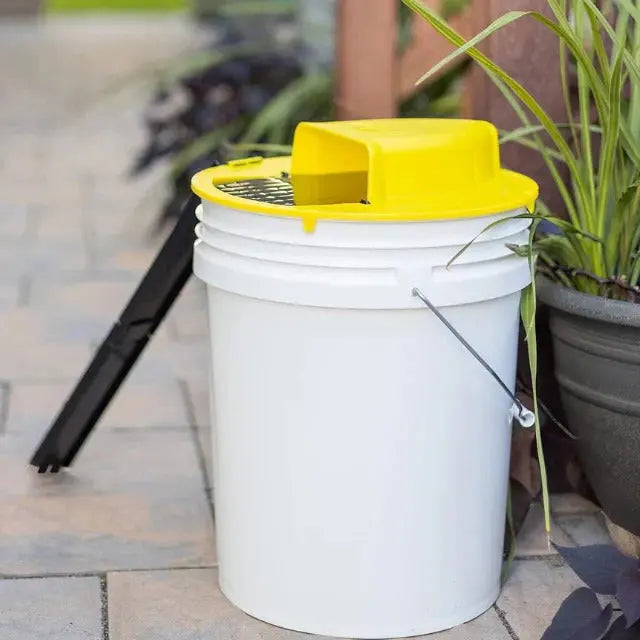 Humane Bucket Mouse Trap with Auto-Reset Lid and Ladders for 5-Gallon Buckets All Vera Mart