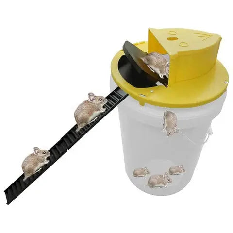 Humane Bucket Mouse Trap with Auto-Reset Lid and Ladders for 5-Gallon Buckets All Vera Mart