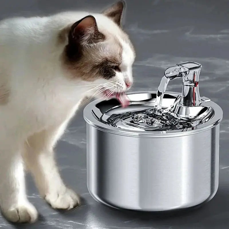 Cat Water Fountain with Stainless Steel Basin and Motion Sensor, Filter Included, 2L All Vera Mart