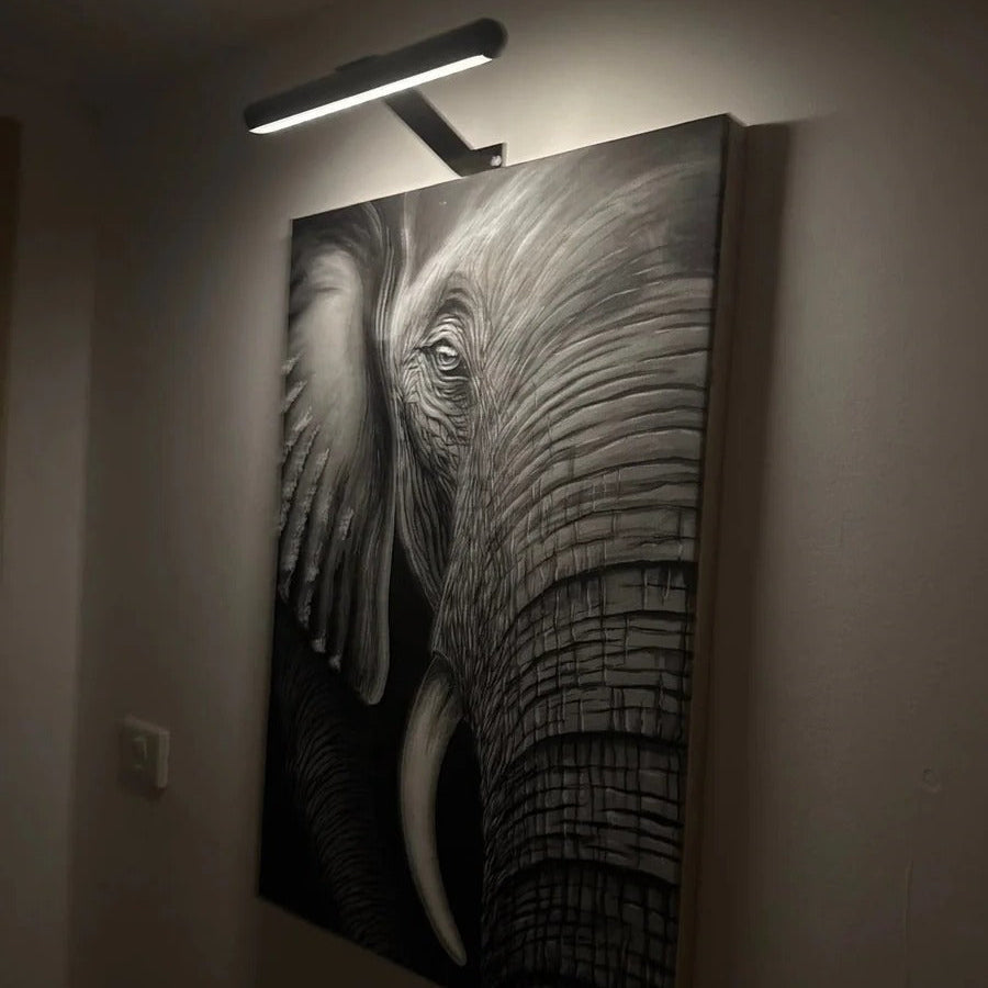 Rechargeable Wall Picture Light with Rotating Head and Stepless Dimming All Vera Mart