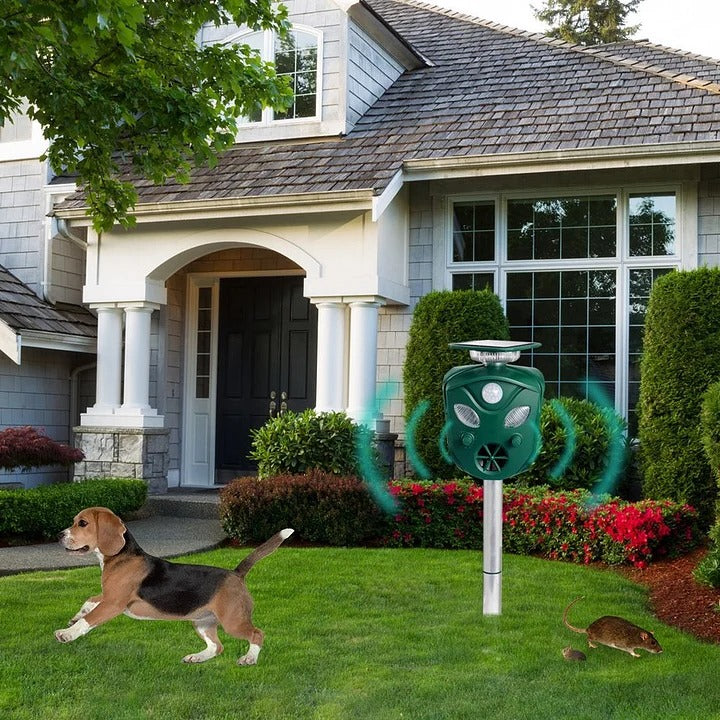 Motion Sensing Animal Repeller with Solar Charging and LED Deterrent, 32ft Detection All Vera Mart