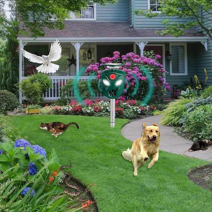 Motion Sensing Animal Repeller with Solar Charging and LED Deterrent, 32ft Detection All Vera Mart
