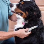 Dual Sided Pet Grooming Rake with Rounded Stainless Steel Teeth and Dematting Comb All Vera Mart