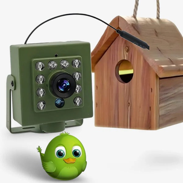 Compact Bird Nest Camera with 1080P HD Video and Night Vision, IP66 Weatherproof All Vera Mart