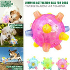 Touch-Activated Jumping Ball for Dogs with Unpredictable Bounce Pattern All Vera Mart
