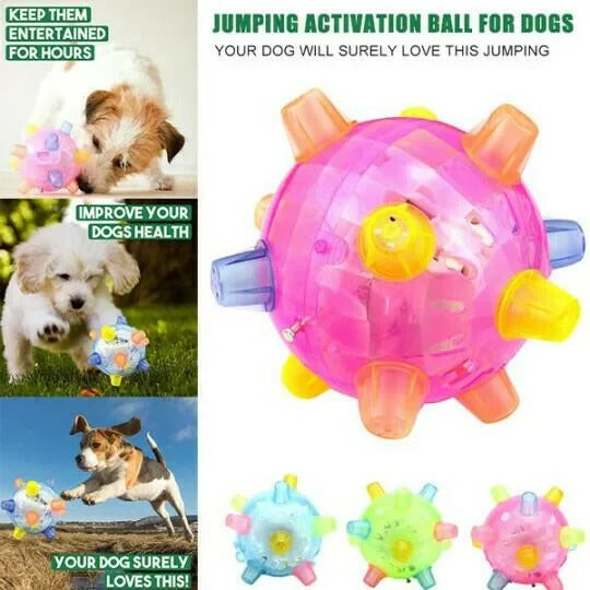 Touch-Activated Jumping Ball for Dogs with Unpredictable Bounce Pattern All Vera Mart