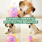 Touch-Activated Jumping Ball for Dogs with Unpredictable Bounce Pattern All Vera Mart