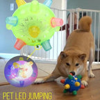 Touch-Activated Jumping Ball for Dogs with Unpredictable Bounce Pattern All Vera Mart