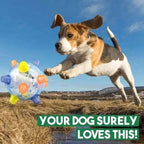 Touch-Activated Jumping Ball for Dogs with Unpredictable Bounce Pattern All Vera Mart