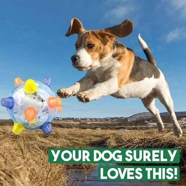 Touch-Activated Jumping Ball for Dogs with Unpredictable Bounce Pattern All Vera Mart