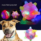 Touch-Activated Jumping Ball for Dogs with Unpredictable Bounce Pattern All Vera Mart
