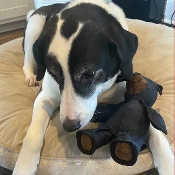 Reinforced Dog Chew Toy Bear with Built-In Squeaker and Machine Washable Fabric All Vera Mart