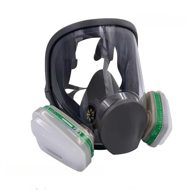 Full Face Respirator with Anti Fog Visor and Dual Filter Cartridges for Dust Protection All Vera Mart