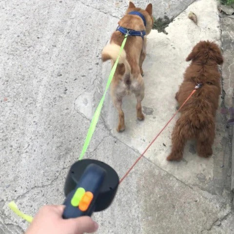 Dual Retractable Dog Leash with 360 Degree Swivel and Built-In Light All Vera Mart