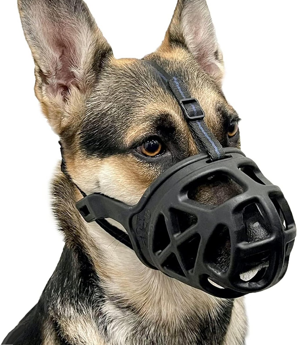 Dog Muzzle, Basket Muzzle for Biting, Chewing and Scavenging, Humane Cage Mouth Cover, Perfect for Grooming and Training Medium Aggressive Reactive Dogs (M, Black) allveramart