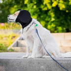 Noise-Reducing Dog Ear Muffs with Adjustable Fit and Insulated Liner All Vera Mart
