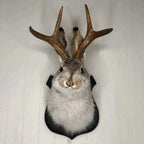 Jackalope Plaque Wall Art with Single Hook Mounting, 7.87 inches All Vera Mart