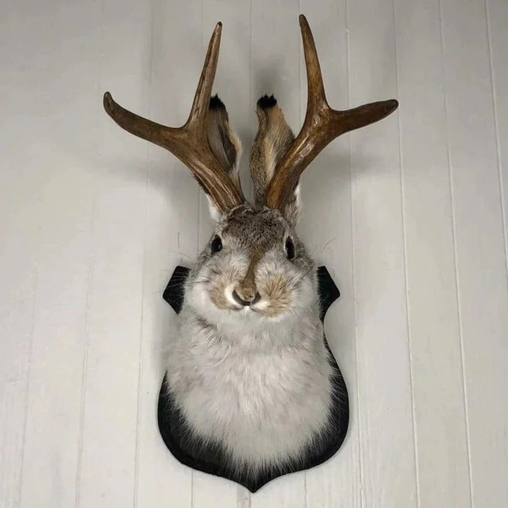 Jackalope Plaque Wall Art with Single Hook Mounting, 7.87 inches All Vera Mart