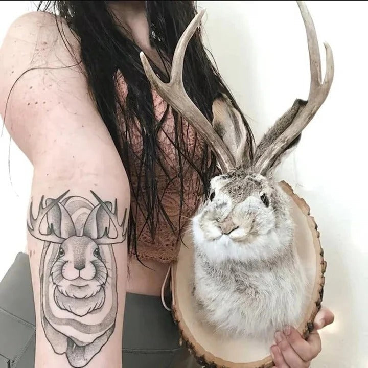 Jackalope Plaque Wall Art with Single Hook Mounting, 7.87 inches All Vera Mart