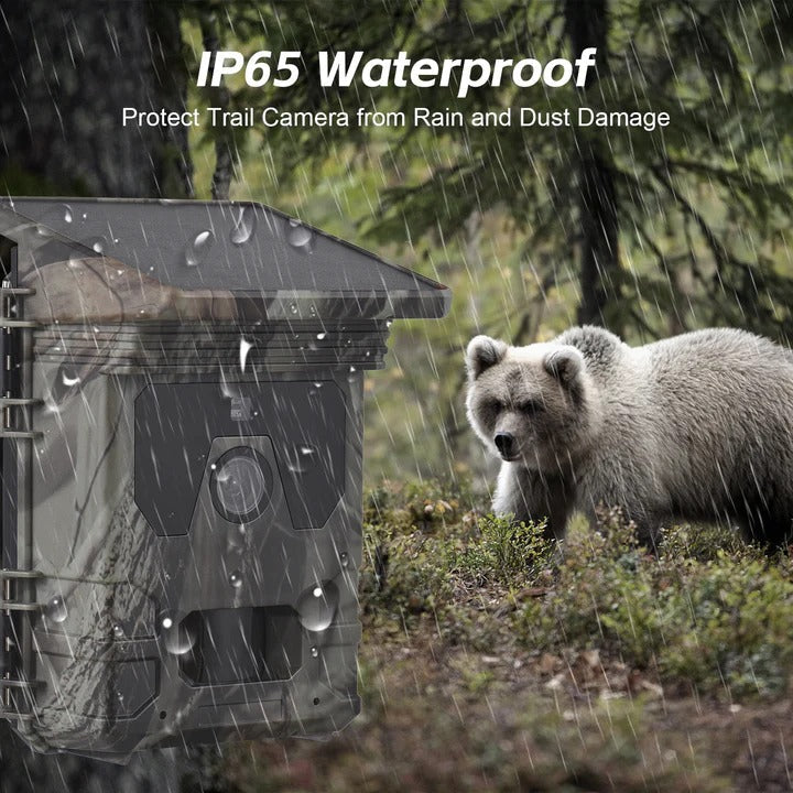 50MP Wildlife Trail Camera with Solar Charging and Infrared Night Vision All Vera Mart