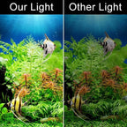 Clip-On Aquarium LED Light with Full Spectrum and Heat Dissipation for Fish Tanks All Vera Mart