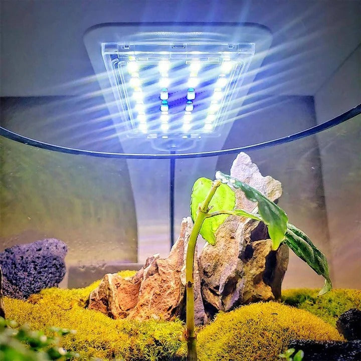 Clip-On Aquarium LED Light with Full Spectrum and Heat Dissipation for Fish Tanks All Vera Mart