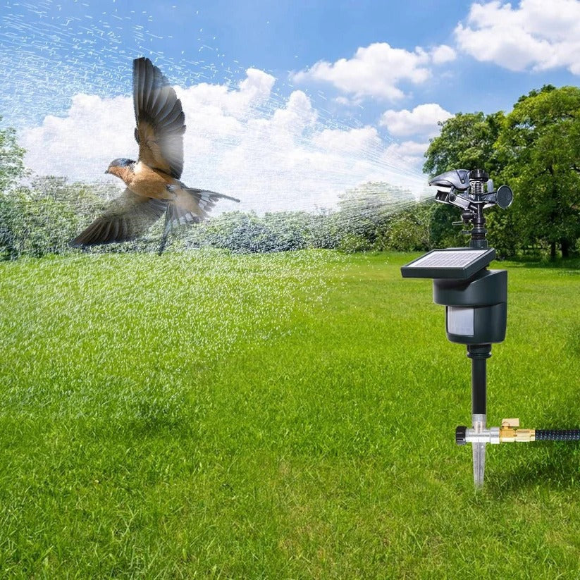 Motion Activated Garden Sprinkler with Solar Power and 30ft Detection Range All Vera Mart