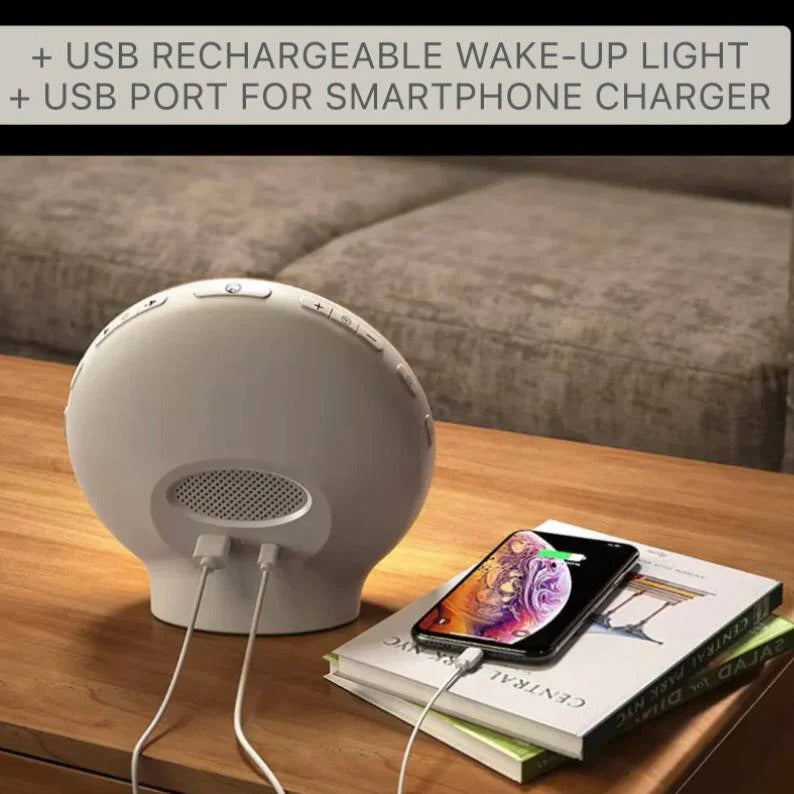 Light Simulation Alarm Clock with FM Radio and Bluetooth, App Control and USB Charging All Vera Mart