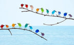 Sea Glass Bird Wall Art with Driftwood Base and Ocean Colors All Vera Mart