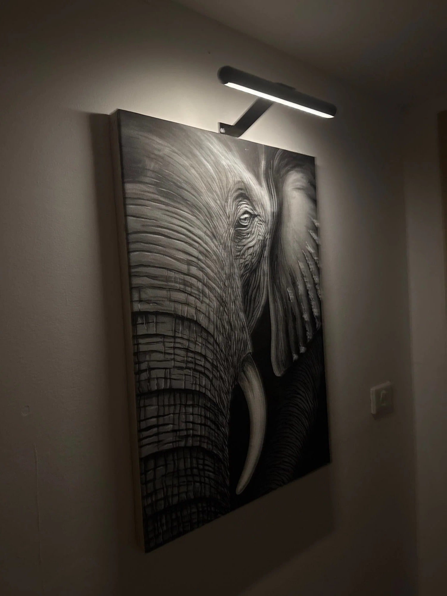 Wall Mount LED Picture Light with 360-Degree Rotation and Stepless Dimming All Vera Mart