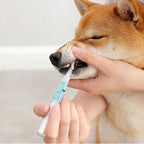 Pet Toothbrush Cleaning Solution with Soft Bristle Formula for Dogs and Cats All Vera Mart