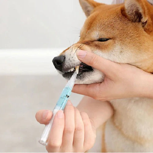 Pet Toothbrush Cleaning Solution with Soft Bristle Formula for Dogs and Cats All Vera Mart
