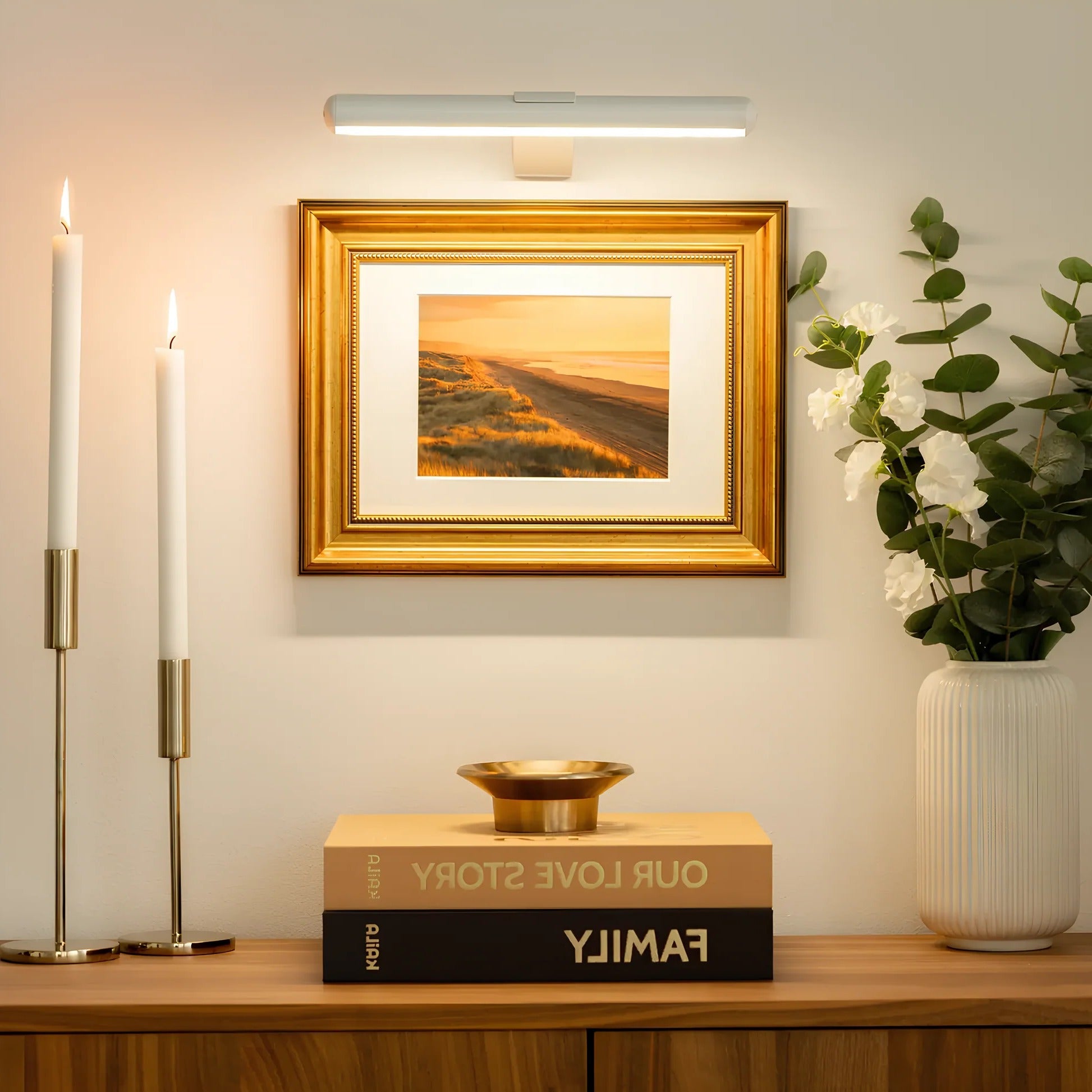 Wall Mount LED Picture Light with 360-Degree Rotation and Stepless Dimming All Vera Mart