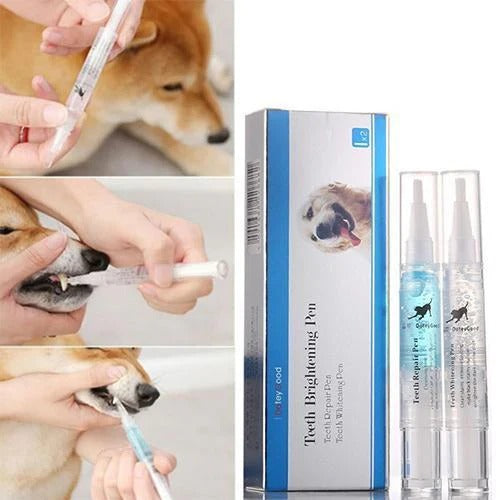 Pet Toothbrush Cleaning Solution with Soft Bristle Formula for Dogs and Cats All Vera Mart