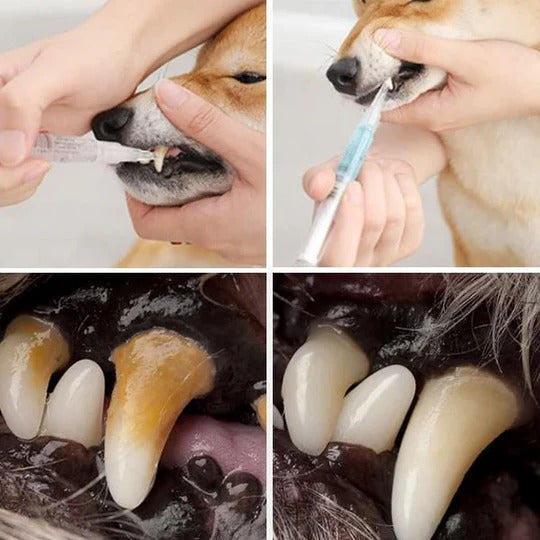 Pet Toothbrush Cleaning Solution with Soft Bristle Formula for Dogs and Cats All Vera Mart