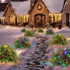 LED Holiday Spray with 35 Warm White Lights and Tripod Stake for Urns All Vera Mart