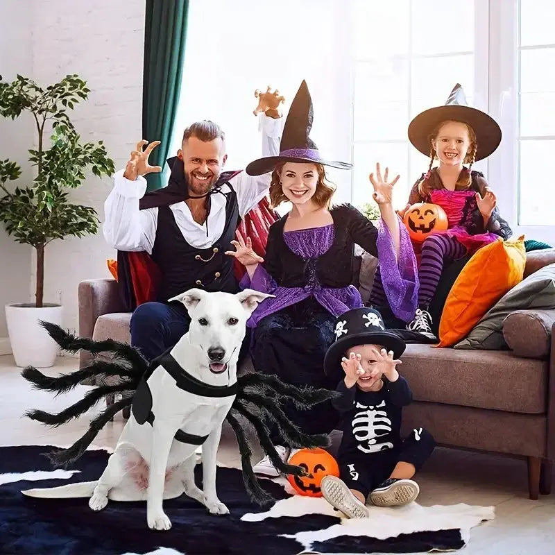 Spider Costume for Pets with Realistic Articulated Legs and Adjustable Fit All Vera Mart