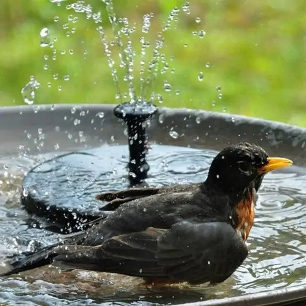 Solar Water Fountain with Four Spray Nozzles and Floating Mount, Silent Outdoor Birdbath All Vera Mart