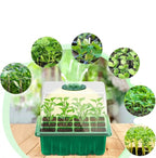 Indoor Seed Starting Tray with Full Spectrum Grow Light and Raised Dome Cover All Vera Mart