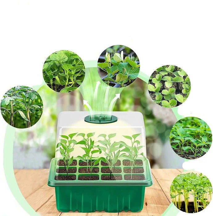 Indoor Seed Starting Tray with Full Spectrum Grow Light and Raised Dome Cover All Vera Mart