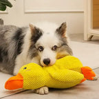 Quacking Dog Toy with Low Realistic Quack and Reinforced Plush, Machine Washable All Vera Mart