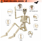 Poseable Halloween Skeleton with 12 Adjustable Joints and Weathered Bone Detail All Vera Mart