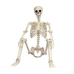 Posable Skeleton Decoration 67 Inches with Movable Joints and Realistic Bone Structure All Vera Mart