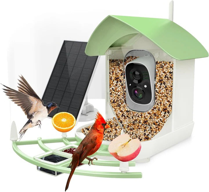 Bird Feeder Camera with 1080p Night Vision and App Motion Alerts All Vera Mart