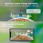 Bird Feeder Camera with 1080p Night Vision and App Motion Alerts All Vera Mart