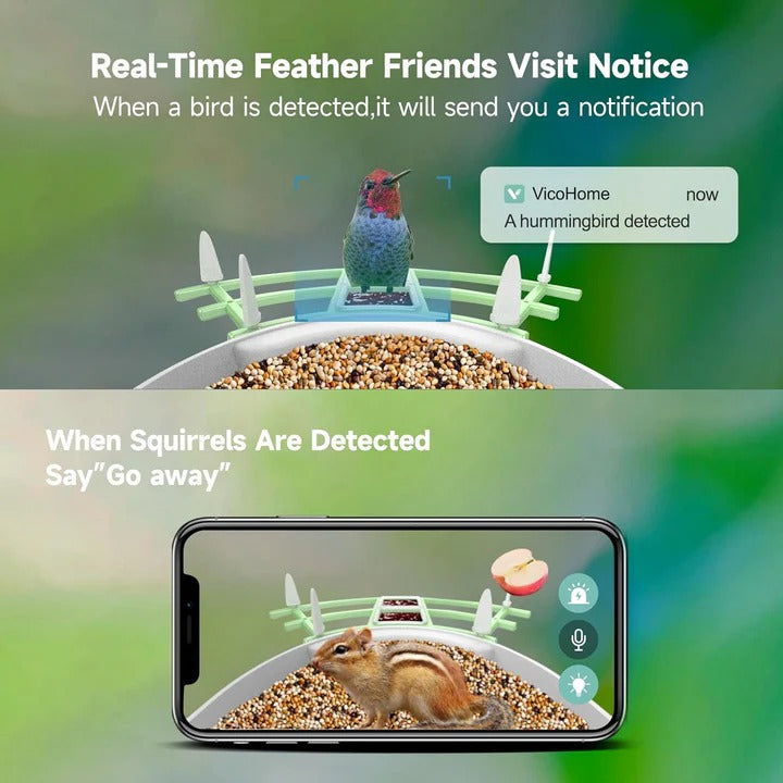 Bird Feeder Camera with 1080p Night Vision and App Motion Alerts All Vera Mart