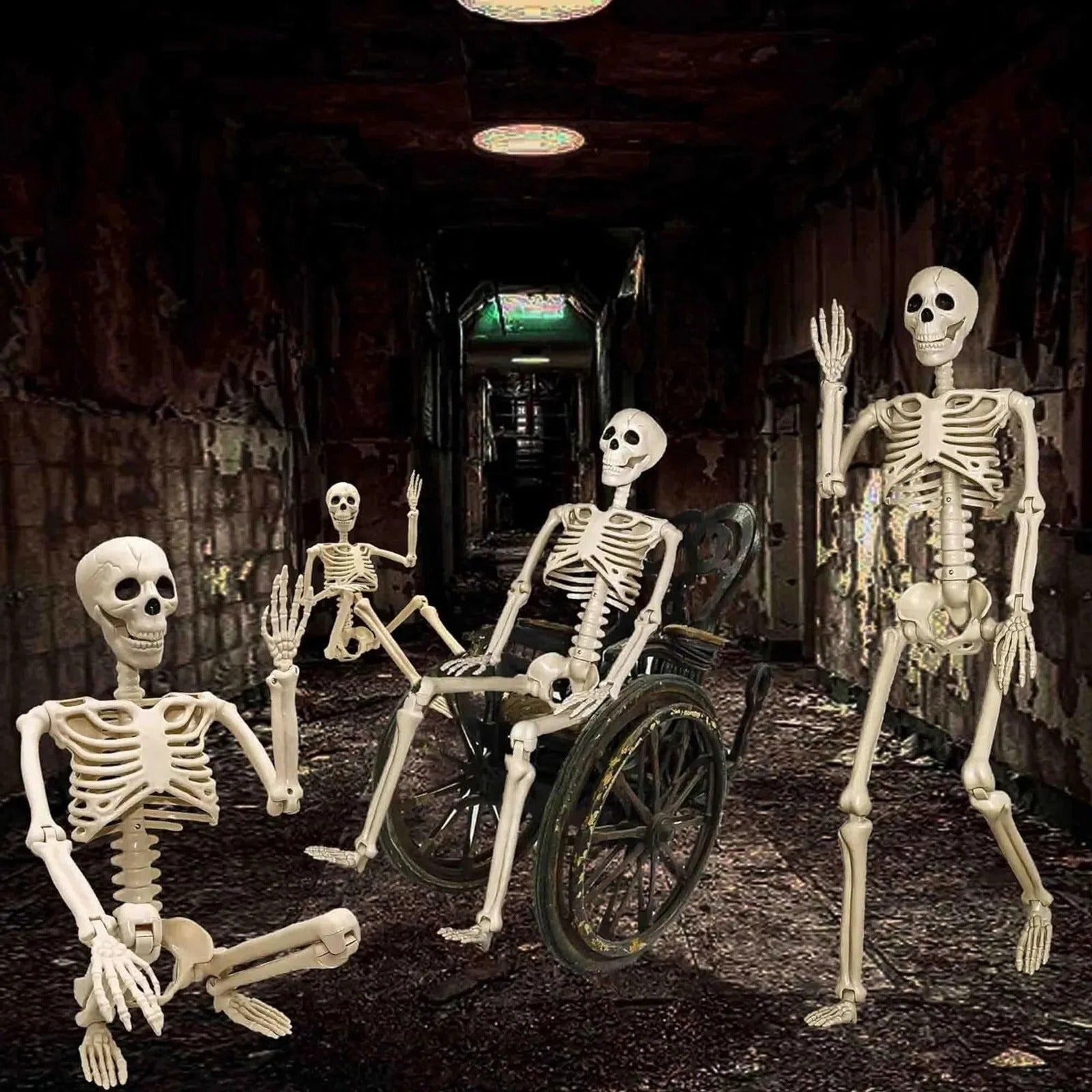 Poseable Halloween Skeleton with 12 Adjustable Joints and Weathered Bone Detail All Vera Mart